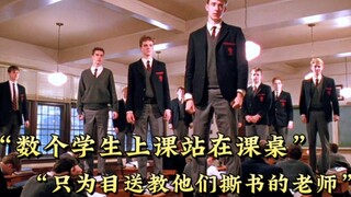 “追求诗与美，浪漫与爱情，才是我们活着的意义”（三）