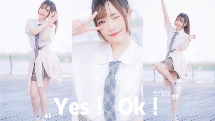 【凳猫猫】Z班练习生报道～Yes！ok！快来pick我吧～