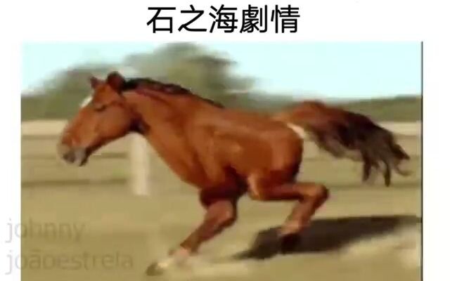 石之海的剧情 be like