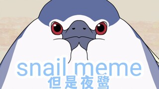 【鸟类meme动画/夜鹭】snail meme