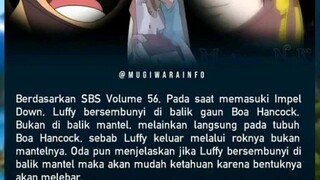 penjelasan luffy saat ke impel down masuk jubahnya boa hancook