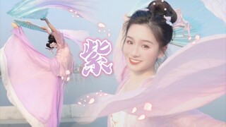 ✿化作一缕紫烟环绕你心尖✿《紫》原创编舞，一起来看晚霞满天