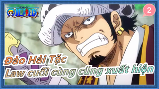 [Đảo Hải Tặc] Tập 91 - Trafalgar D. Water Law cuối cùng cũng xuất hiện_2