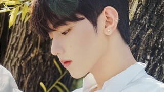 章昊:我在韩国很想你，几乎cha遍了整个绿卡