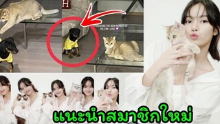 ลิซ่า blackpink รับน้องหมาเพิ่ม สมาชิกใหม่ L family