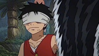 Monkey D Luffy
