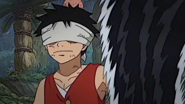 Monkey D Luffy