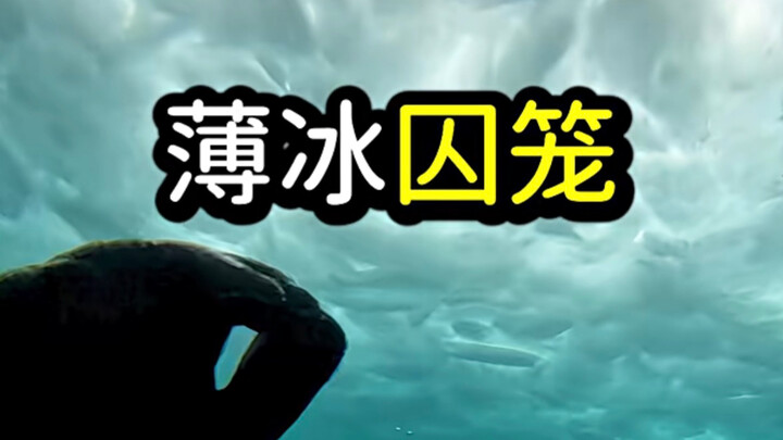 Kiến thức lạ: Làm thế nào để thoát hiểm khi bị mắc kẹt dưới lớp băng?