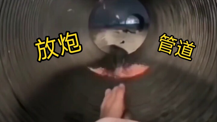 今天外边很热闹