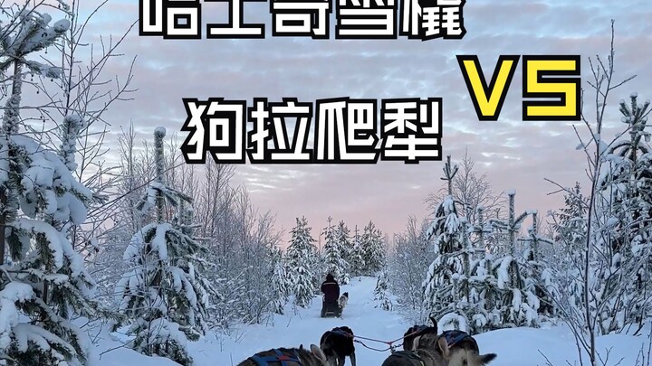 Pada akhirnya, yang paling penting adalah aturan dan regulasi! Bukan berarti tidak boleh ada, tapi h