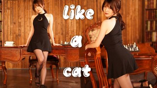 【佳茗】性感姐姐回归！？—AOA猫步轻俏