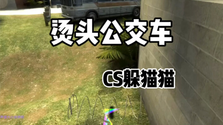 حافلة تصفيف الشعر