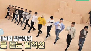 这整齐度谁看了不说一声绝｜非常 NICE+ home｜一周的偶像SEVENTEEN