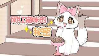 《当网红猫走进现实》