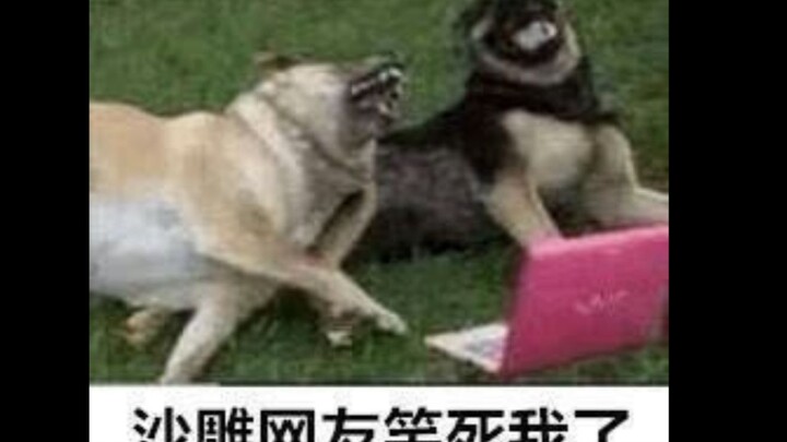 【A Man】Saat adegan pernyataan cinta romantis dipadukan dengan suara kocak ala “sandao”, jadi trik aj