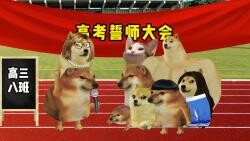 مؤتمر حلف الامتحان الجامعي