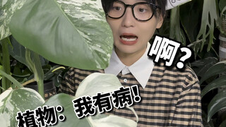 เมื่อต้นไม้เริ่มมีลาย...ปู่บอกว่า นี่มันโรค!!!