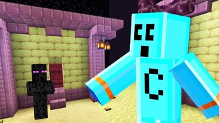 Minecraft But There are Custom Villagers