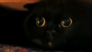 Kalau ada yang mau mengadakan lomba petak umpet atau semacamnya, jangan lupa kabarin aku ya! Jangan 