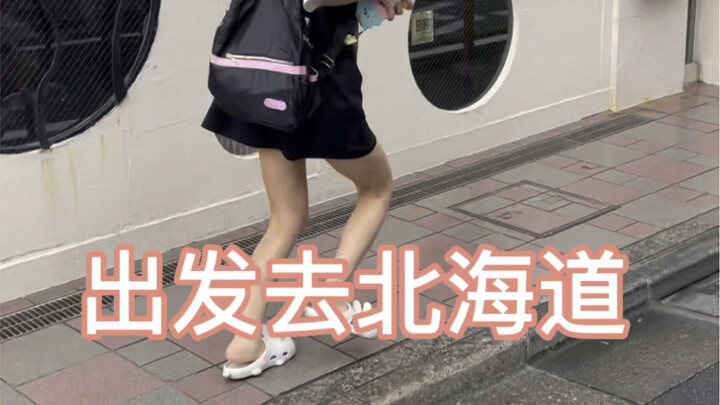 Lần nào đến Hokkaido cũng không có tuyết