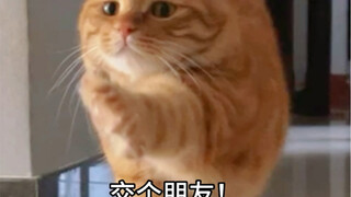 原来大长腿是这样伸懒腰的！