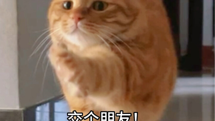 原来大长腿是这样伸懒腰的！