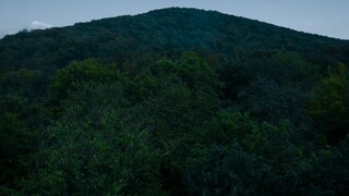 the stranger chapter.1 hindi dubbed