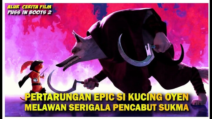 KETIKA KUCING OYEN PALING BAR-BAR DI DUNIA DIBURU OLEH SERIGALA PENCABUT NYAWA