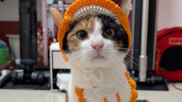 Lost and Found Again