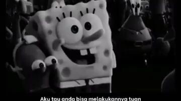 spongeboob