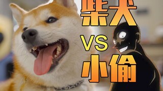 记录柴犬遇到小偷会有什么反应？结果令主人无语——视角姬vlog