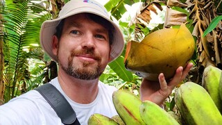 LIFE IN ISLAND GARDEN SAMAL, PHILIPPINES | ISLAND LIFE