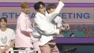 暴躁小🍊和他的回收员🐶