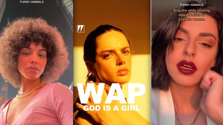 WAP | Come See the Beauties