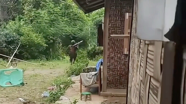 This time, Thailand really has no intention of sparing Cambodia; compared to the barrage of artiller