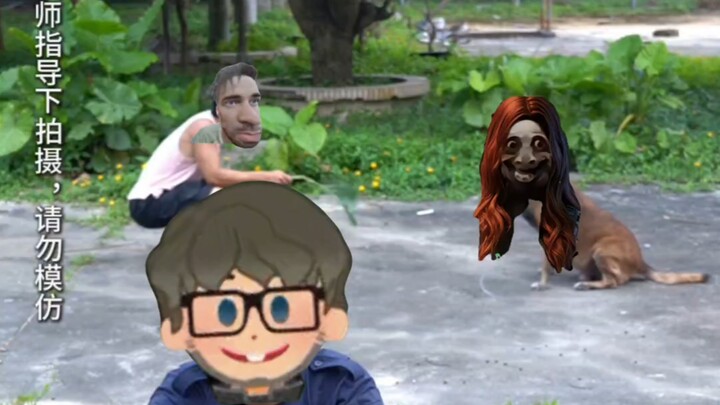 What should I do if I get bitten by a dog?