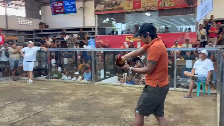 3hits victoria col.2nd fyt win