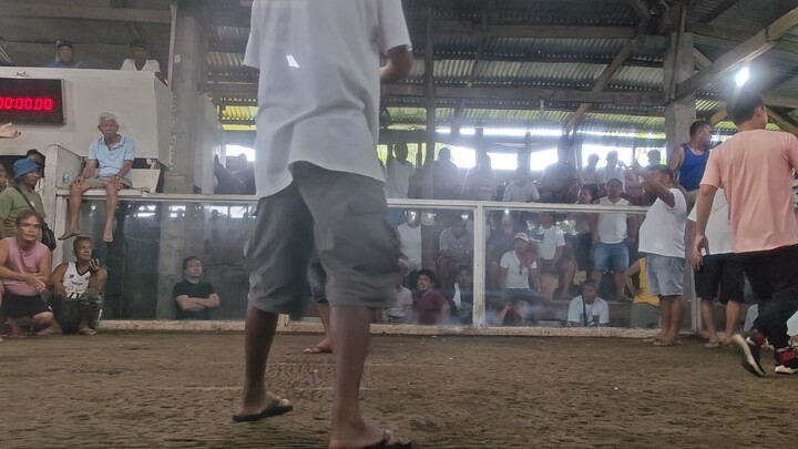 SM Sto Domingo Blueminer (Win)