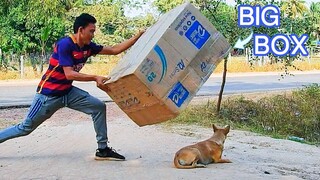 Funny Dog Sleep Video, Super Funny prank