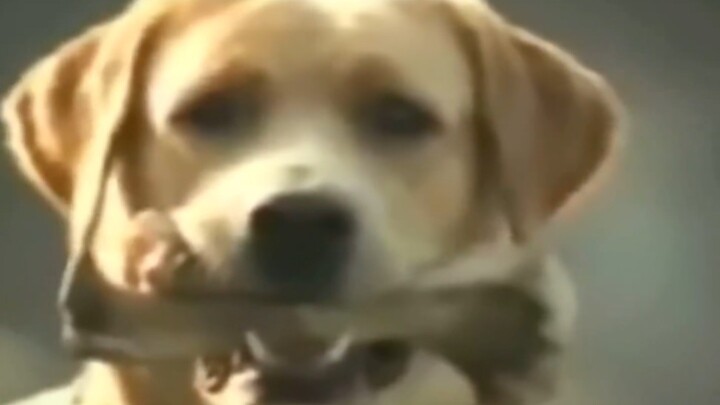 R-star's products are always top-notch.