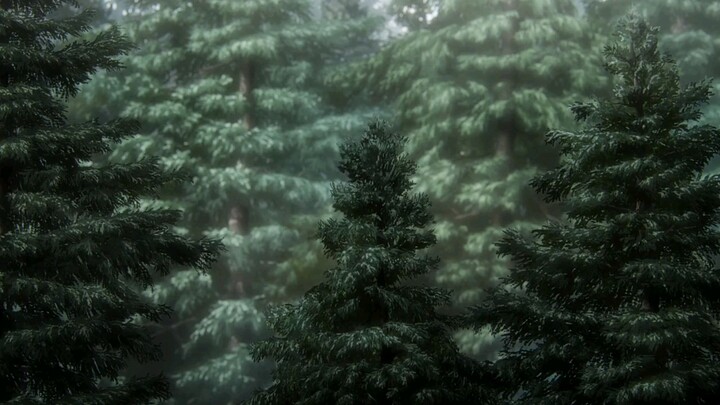 the curse forest this not been released yet