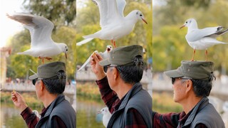 扫街的乐趣就是拍到超级可爱的照片！！！
