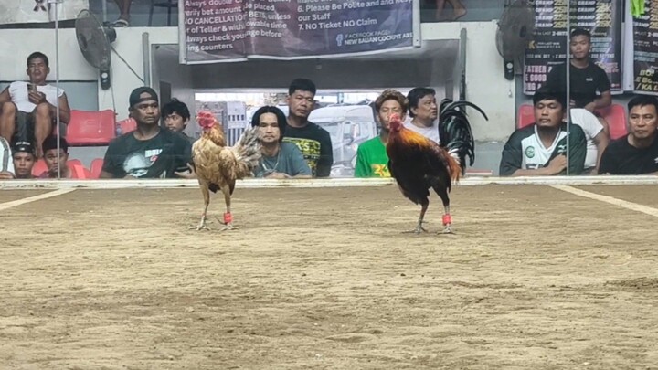 1st fight of Super Hennie (4x winner)