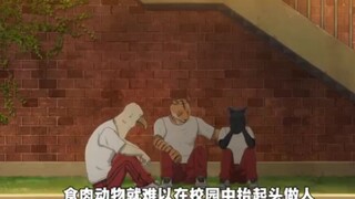 校园发生误伤事件，食肉动物难以抬头做人，更是会成为校园网暴的对象！