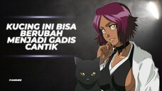 KUCING YANG BISA JADI CEWE CANTIK?! || YORUICHI