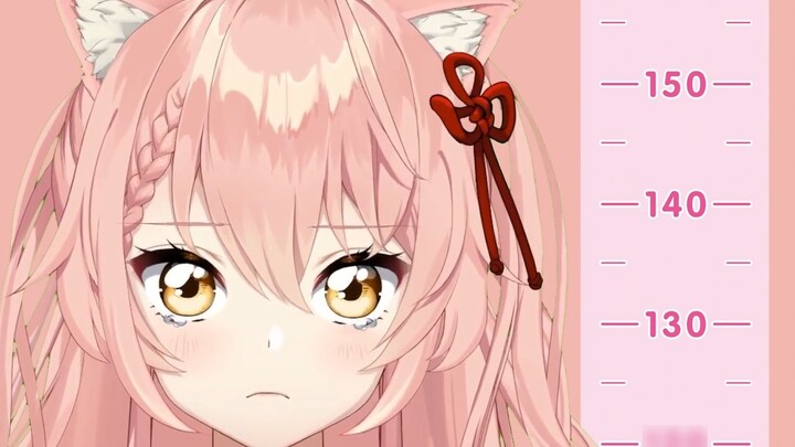 [Hiiro] Mèo và các thành viên trong gia đình cao bao nhiêu? Bạn muốn có bạn trai cao bao nhiêu?