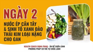 DAY 2  - 500ML NƯỚC ÉP CẦN TÂY + SINH TỐ XANH ĐÀO THẢI KIM LOẠI NẶNG CHO GAN