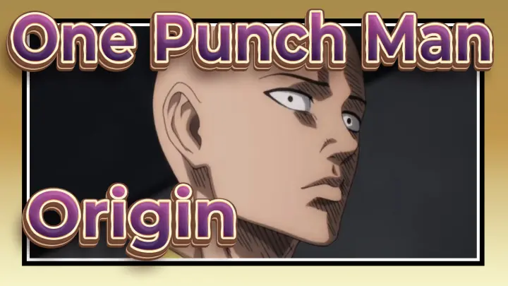 [One Punch Man] The Origin of This One Punch Man