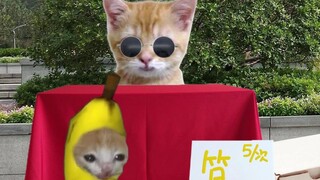 Kucing pisang bernasib buruk, ingin mencari ahli lempar boneka untuk meminta nasib baik