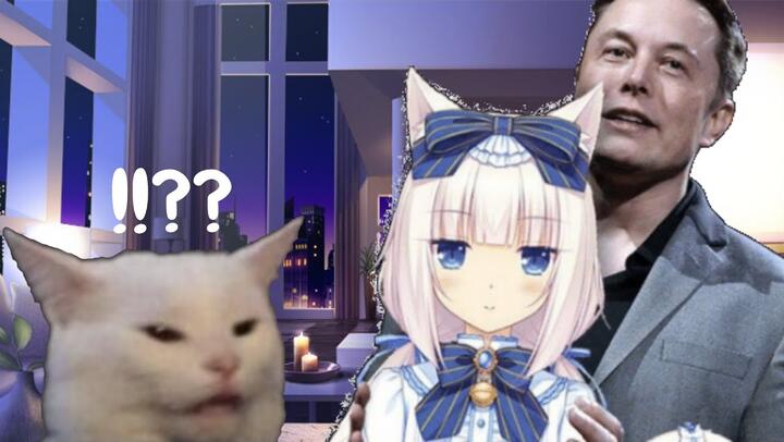 Anime cat girls is better than real cats